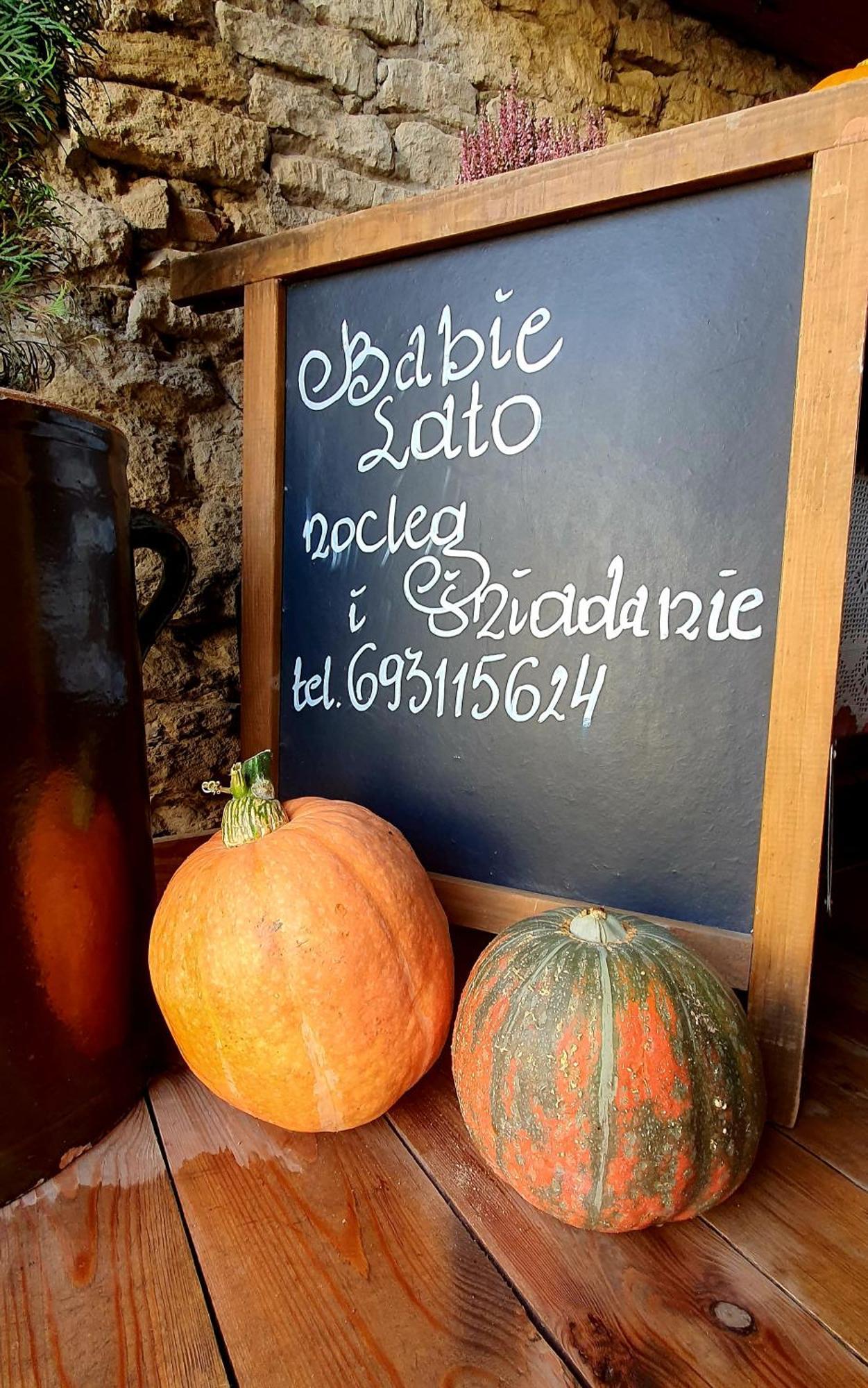 Babie Lato B&B Uniejów Exterior foto
